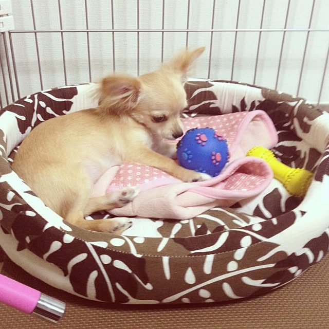 marichunxxさんの実例写真