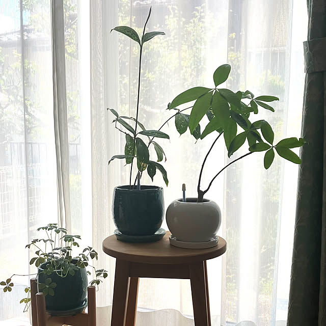 katuさんの部屋