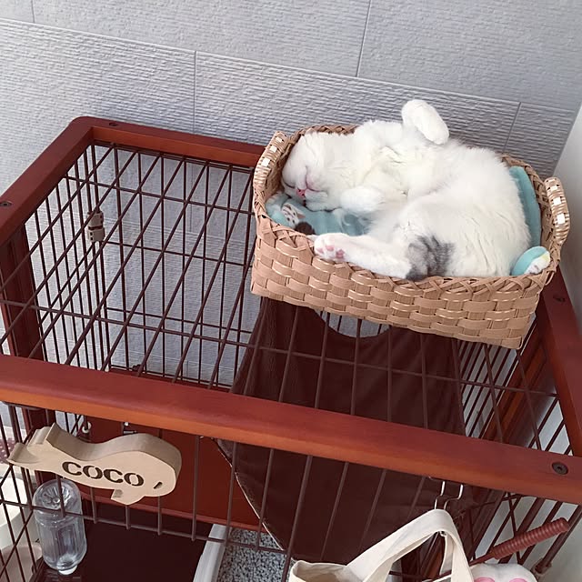 yumiさんの実例写真