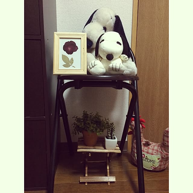 machanさんの実例写真