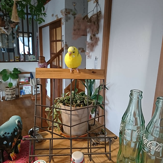 akiさんの実例写真