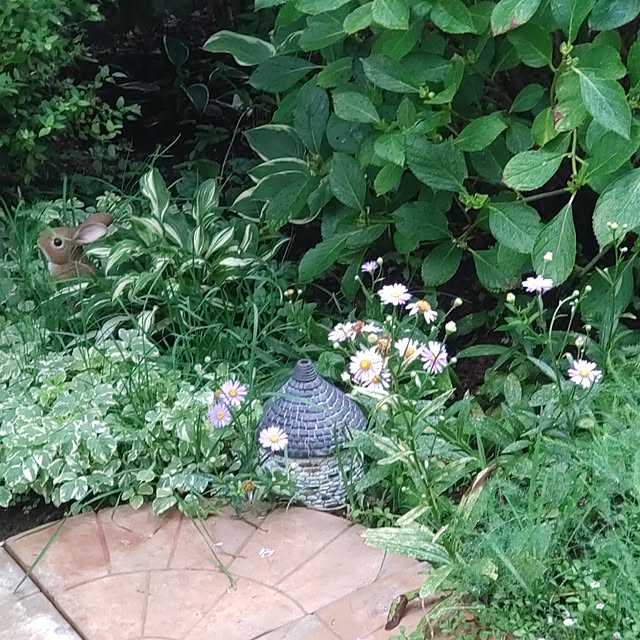 Hujikoさんの実例写真