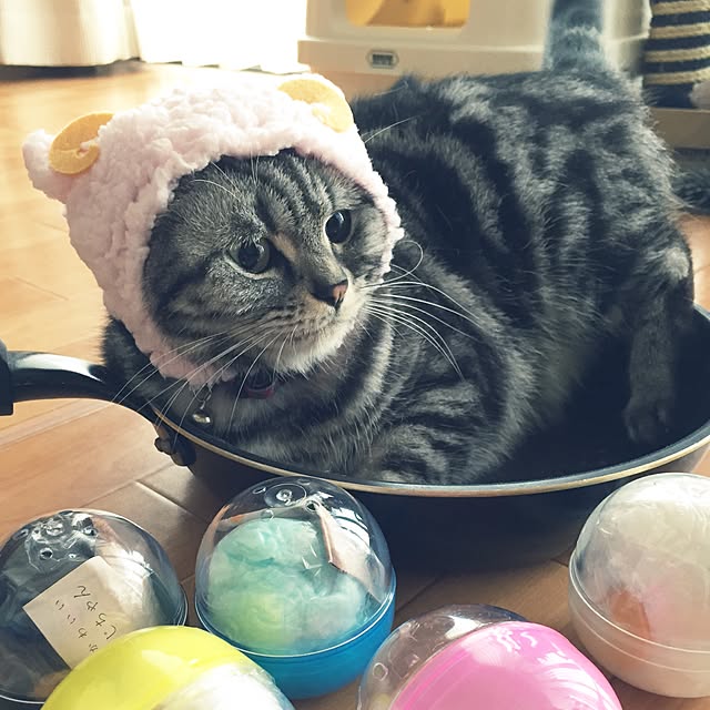 hiyupan88さんの実例写真