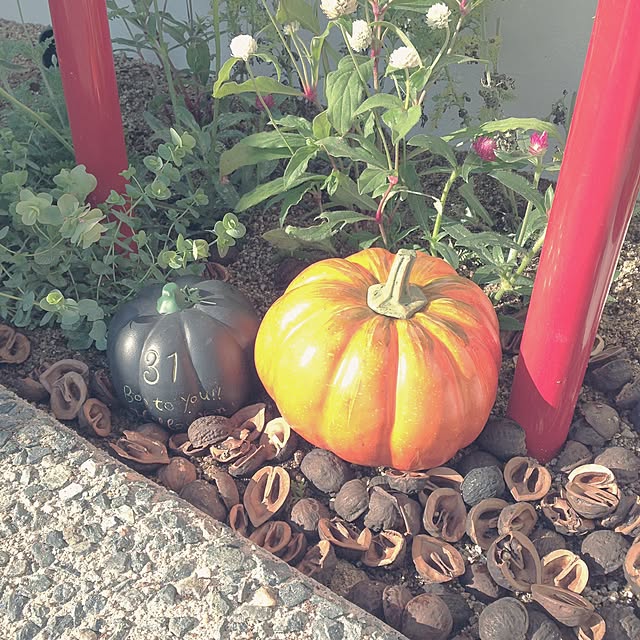 darakoさんの実例写真