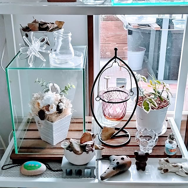 mi-saさんの部屋