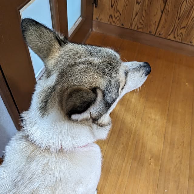 asaさんの部屋