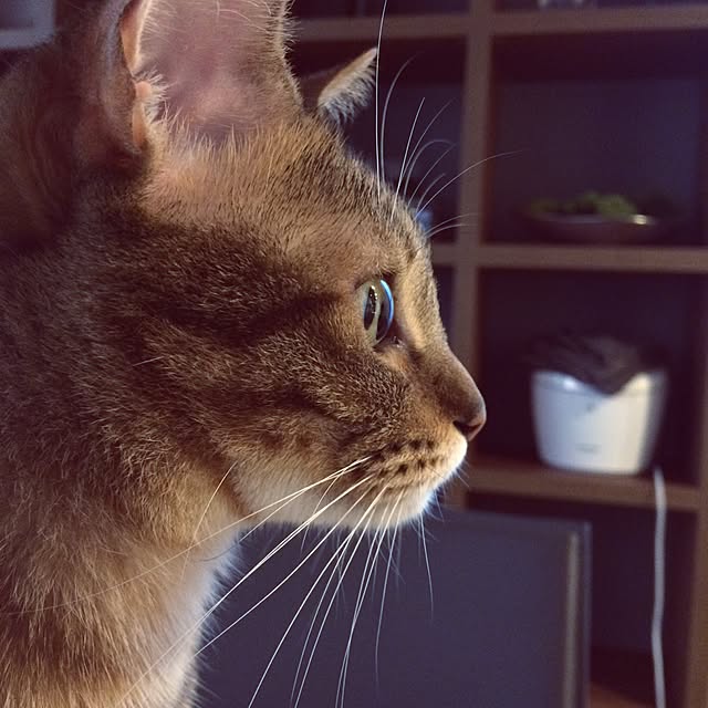 black9722さんの実例写真