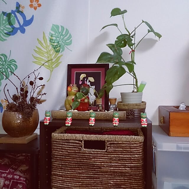 棚/植物のインテリア実例 - 2014-04-29 07:31:07