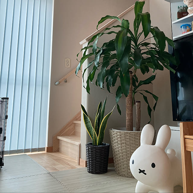 mamesuchoさんの実例写真