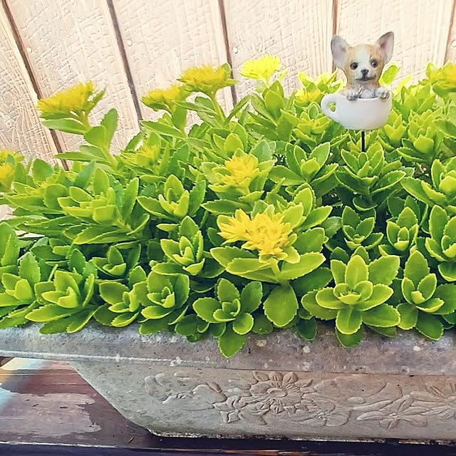 hiro-yさんの実例写真
