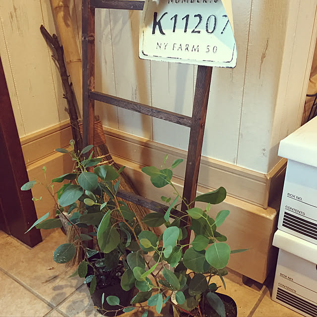 7.24graph-micchiさんの実例写真