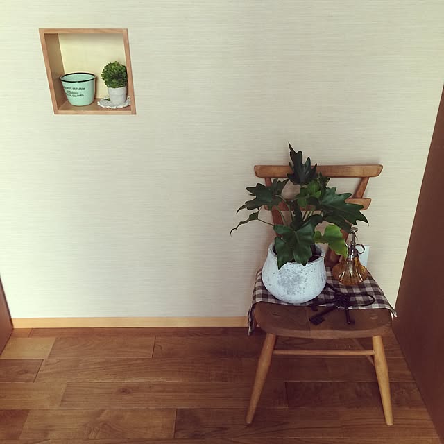 玄関/入り口/観葉植物/雑貨のインテリア実例 - 2015-02-21 15:20:21