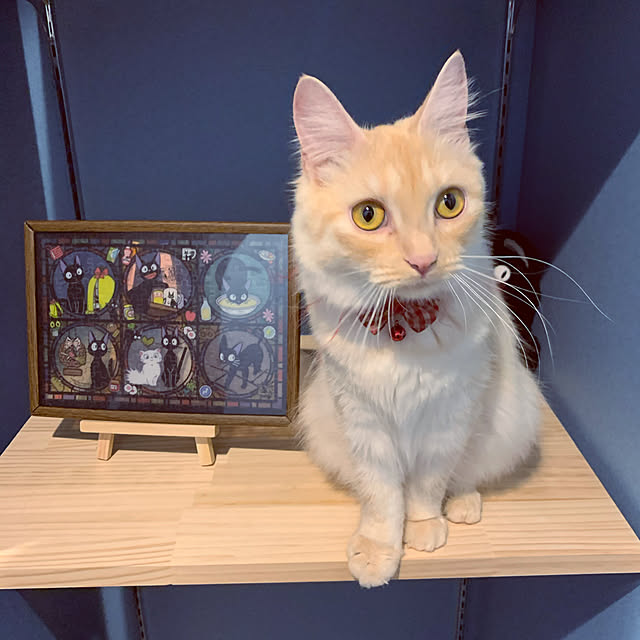 u-sh.haruさんの実例写真