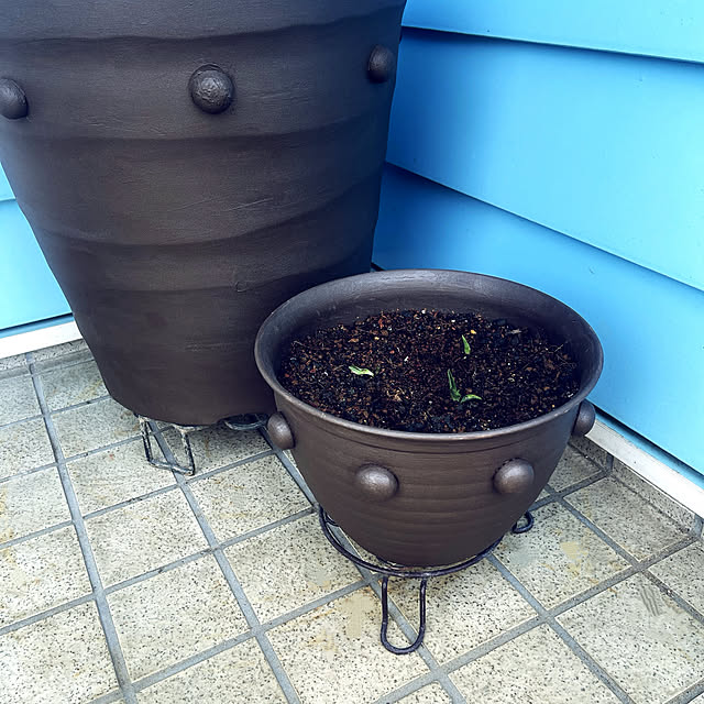 Ohigeさんの部屋