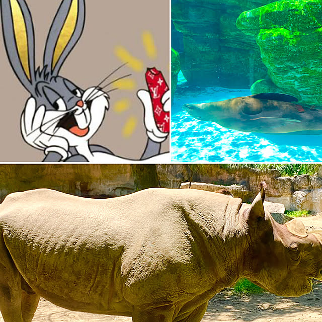 tututu0204さんの部屋