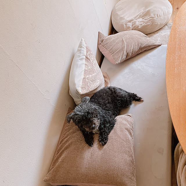 Chipさんの実例写真