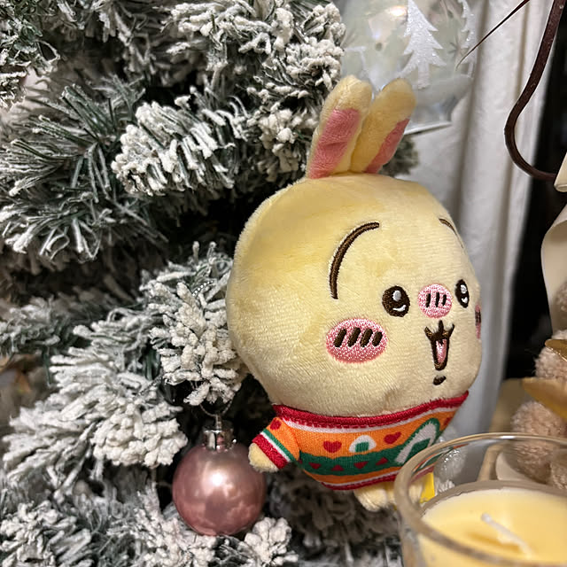 makiさんの実例写真
