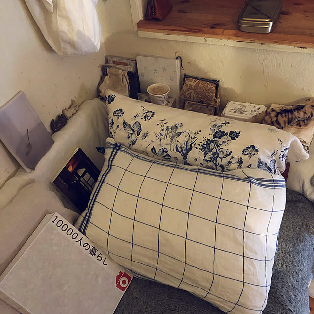neko-2.2.2runmuさんの実例写真