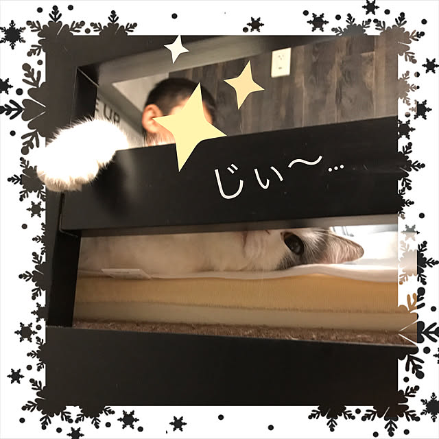 noikoさんの実例写真