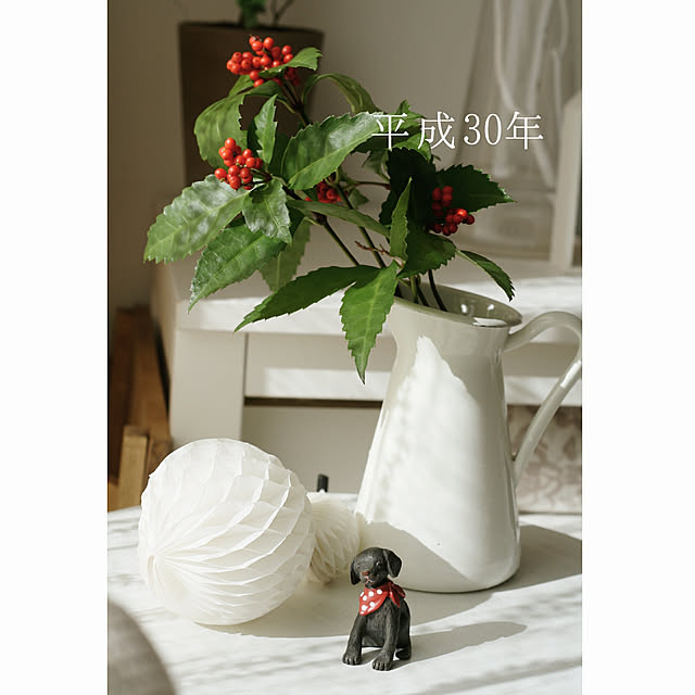 vol.1339写真