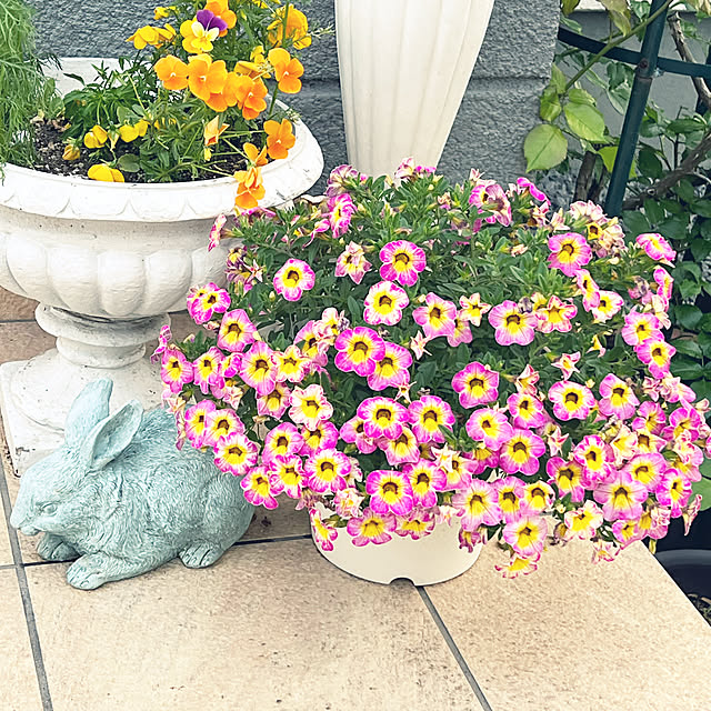 maさんの実例写真