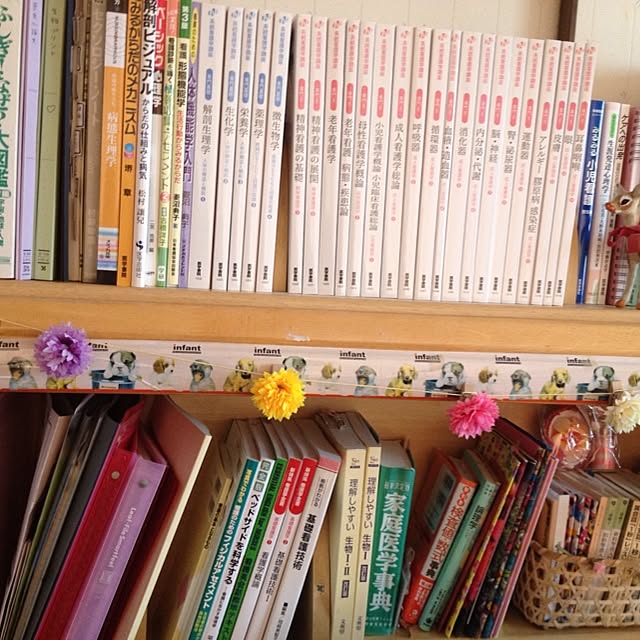実例写真
