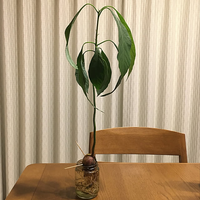 sacchinさんの実例写真