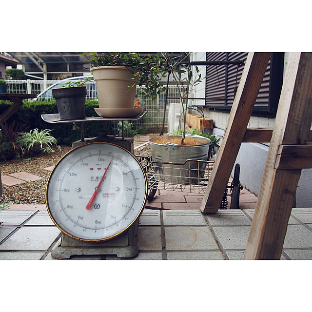 ichicoさんの実例写真