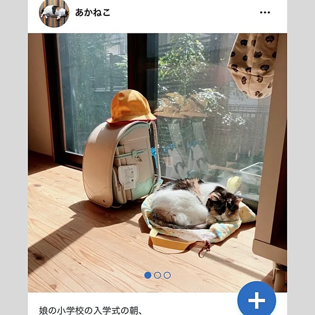 akanekoさんの実例写真