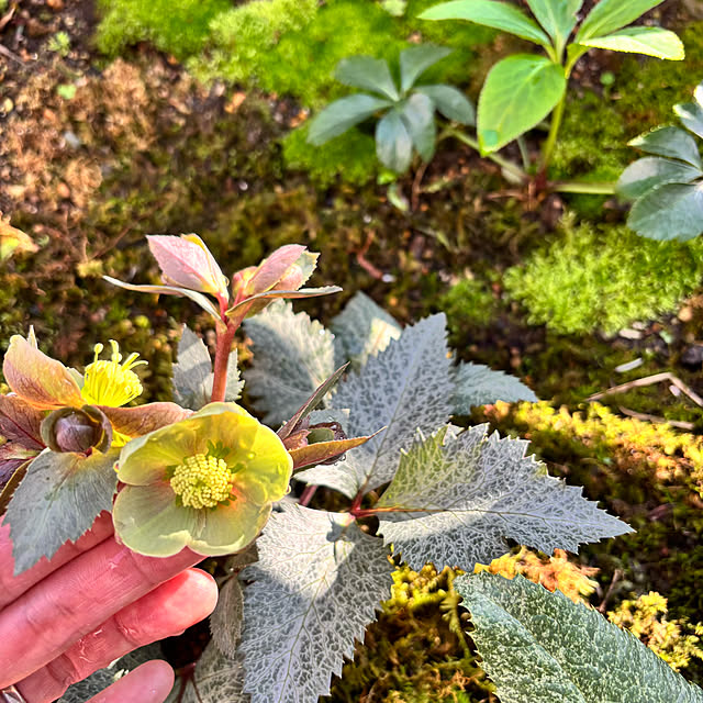 kyoko1124koさんの部屋