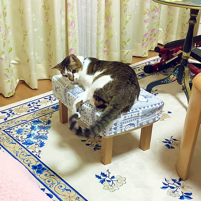 haruminさんの部屋