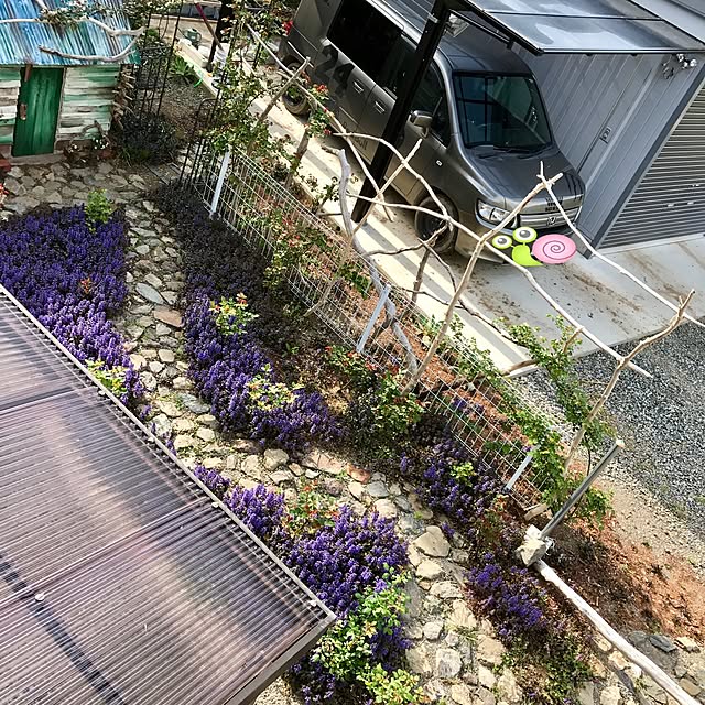pepeさんの実例写真