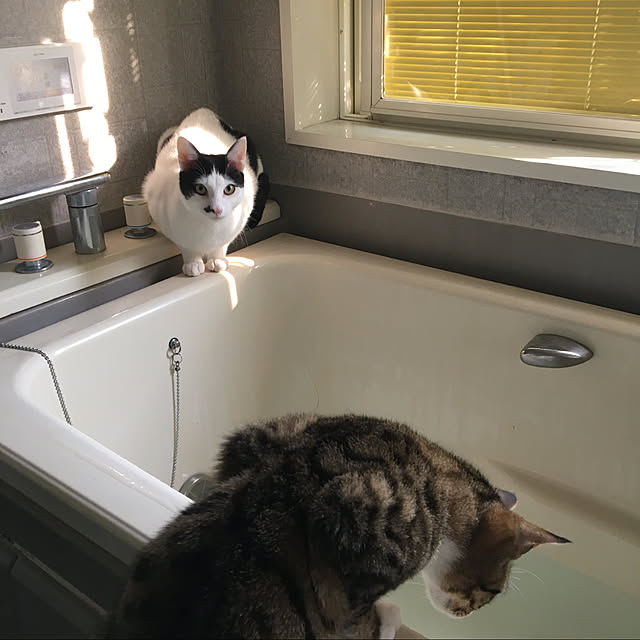 nobikoさんの実例写真