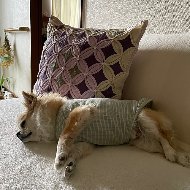 natsumiさんの部屋