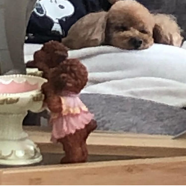 eriharuさんの実例写真