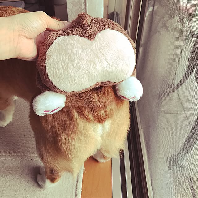 EMIさんの実例写真