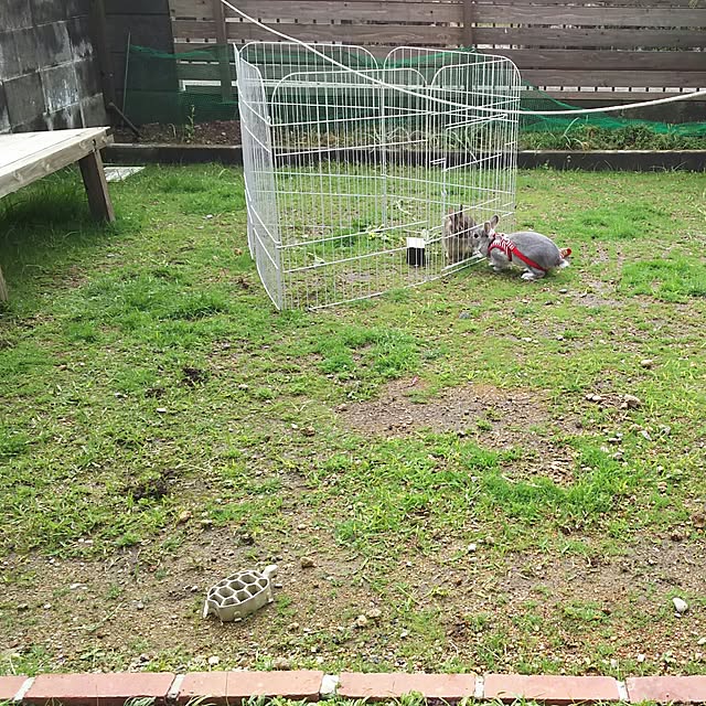 ykbnさんの実例写真