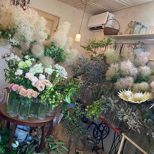 t_n.homeさんの部屋