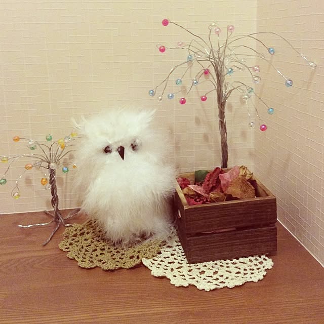 shiroさんの実例写真