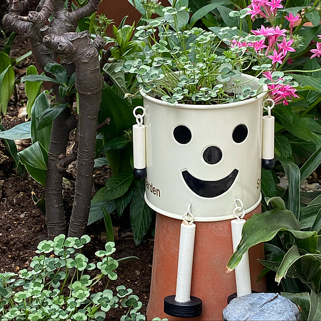 Smilkazuさんの実例写真