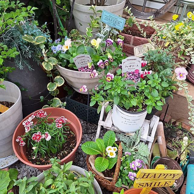 Blancheさんの部屋