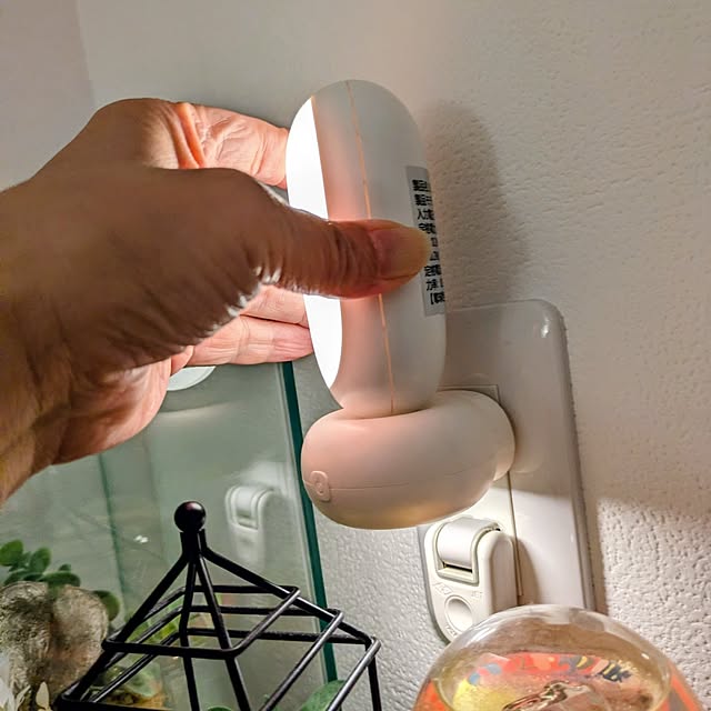 mi-saさんの部屋