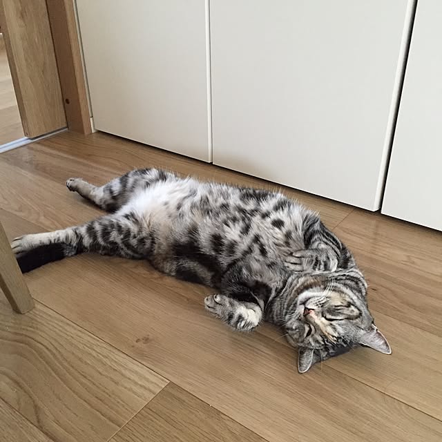 haruさんの実例写真