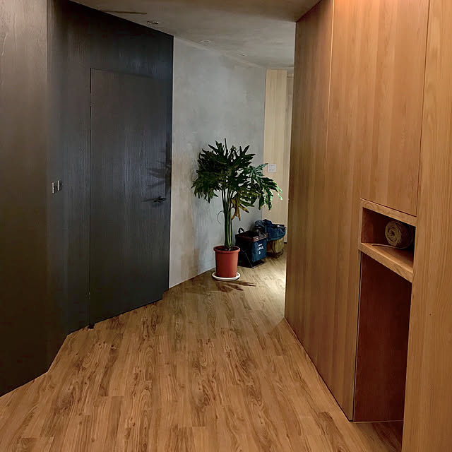 玄関/入り口のインテリア実例 - 2018-08-22 11:30:40
