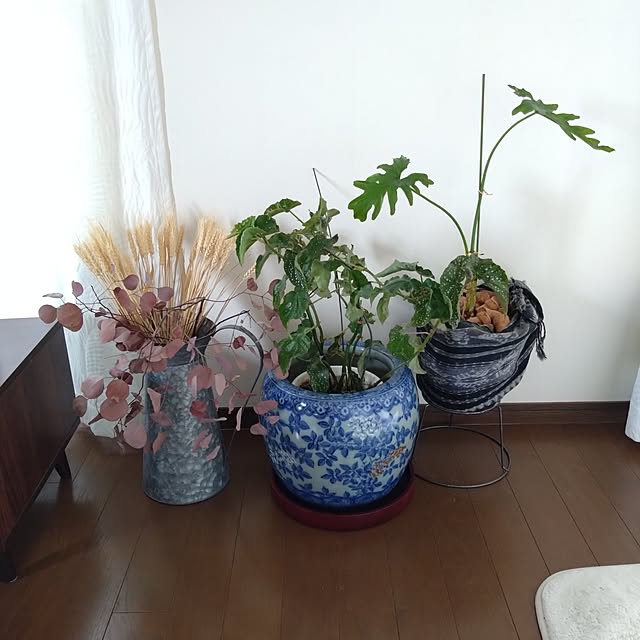 kakkaさんの実例写真