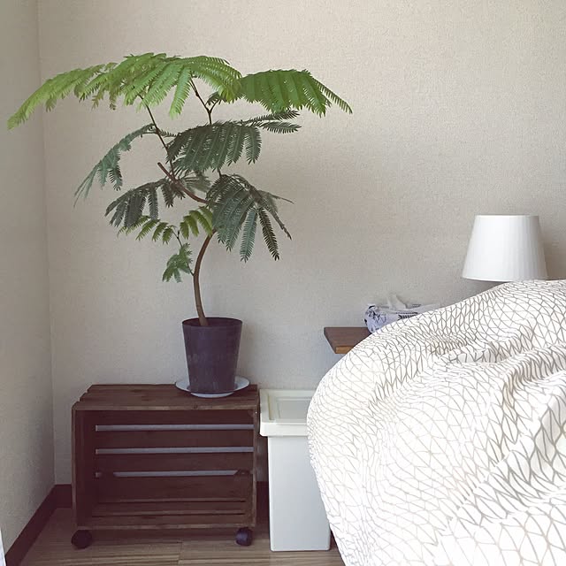 hiromiさんの実例写真