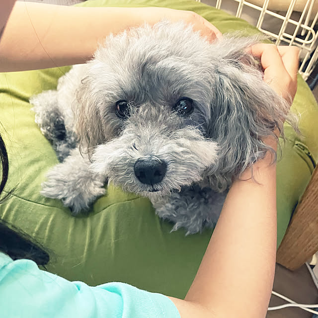 coochanさんの部屋