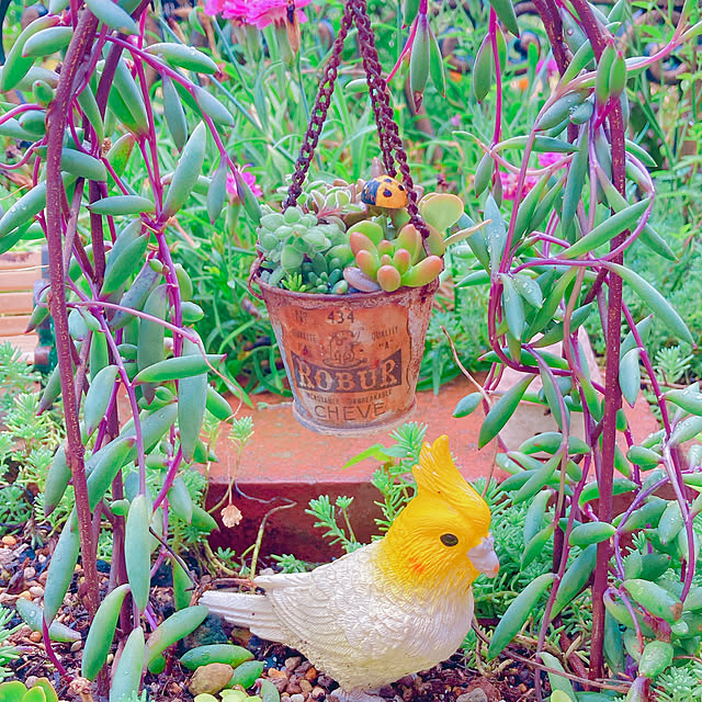 Hanakaさんの部屋