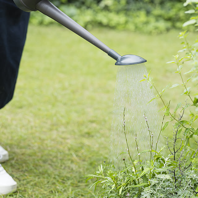 Royal_Gardeners_Clubさんの実例写真