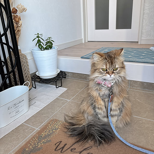 miyu39さんの部屋